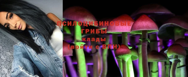 ешки Баксан