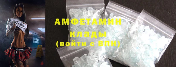 сатива Балахна