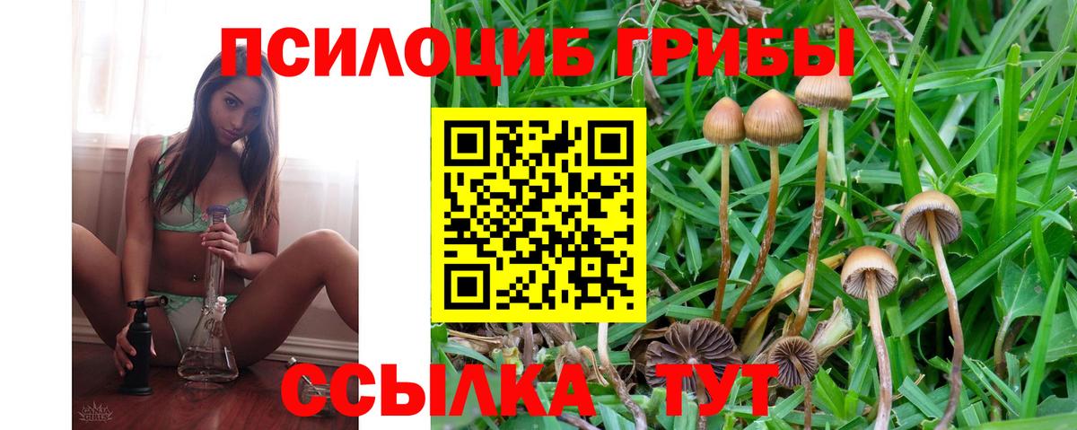 Псилоцибиновые грибы мицелий Борисоглебск